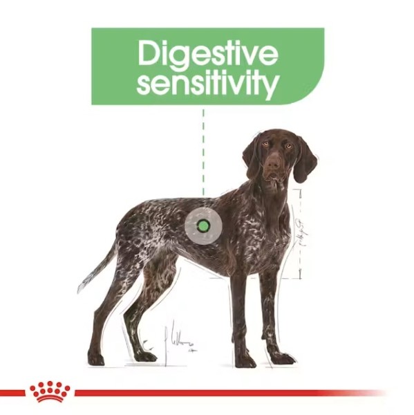 Royal Canin Digestive Care Maxi - Суха храна за кучета с чувствителна храносмилателна система